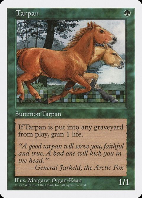330-tarpan.jpg