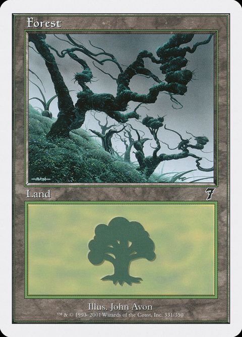 331-forest.jpg