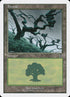 331-forest.jpg