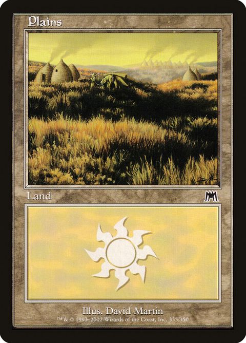 333-plains.jpg