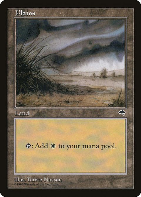 333-plains.jpg