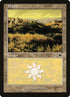333-plains.jpg