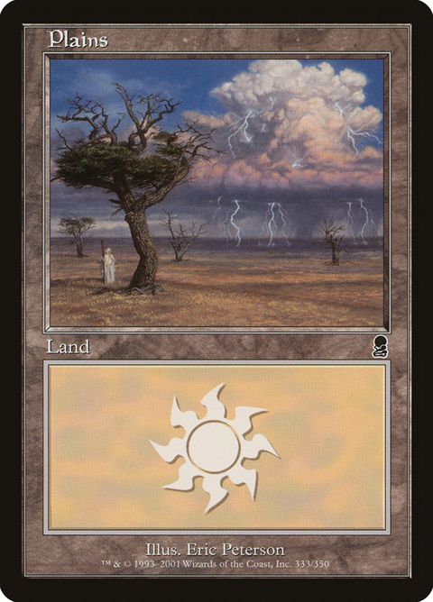 333-plains.jpg