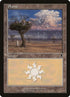 333-plains.jpg