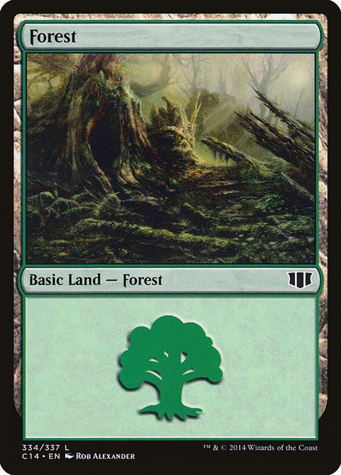 334-forest.jpg