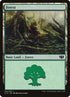 334-forest.jpg