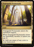 334-transguildpromenade.jpg
