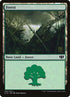 335-forest.jpg