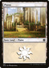 335-plains.jpg