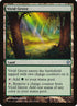 335-vividgrove.jpg