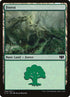 336-forest.jpg