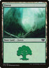 337-forest.jpg