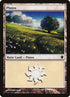 337-plains.jpg