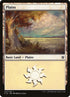 337-plains.jpg
