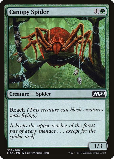 339-canopyspider.jpg