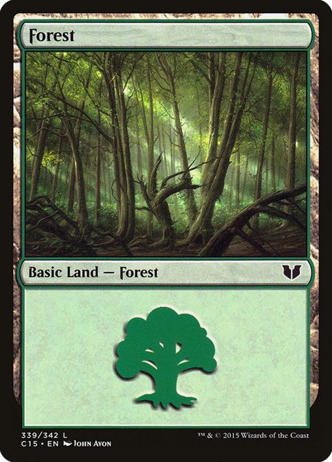 339-forest.jpg