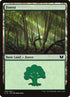 339-forest.jpg