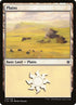 339-plains.jpg