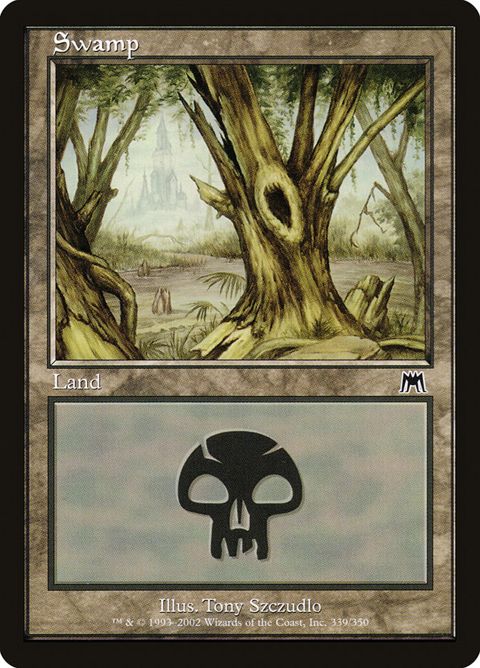 339-swamp.jpg