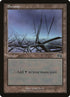 339-swamp.jpg
