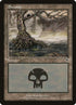 339-swamp.jpg