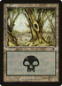339-swamp.jpg