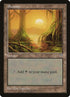 339-swamp.jpg