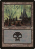 339-swamp.jpg