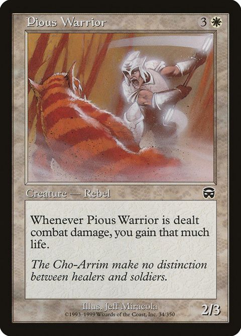 34-piouswarrior.jpg
