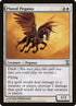 34-platedpegasus.jpg