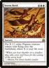 34-stormherd.jpg