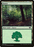 340-forest.jpg
