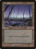 340-swamp.jpg