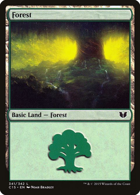341-forest.jpg