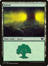 341-forest.jpg