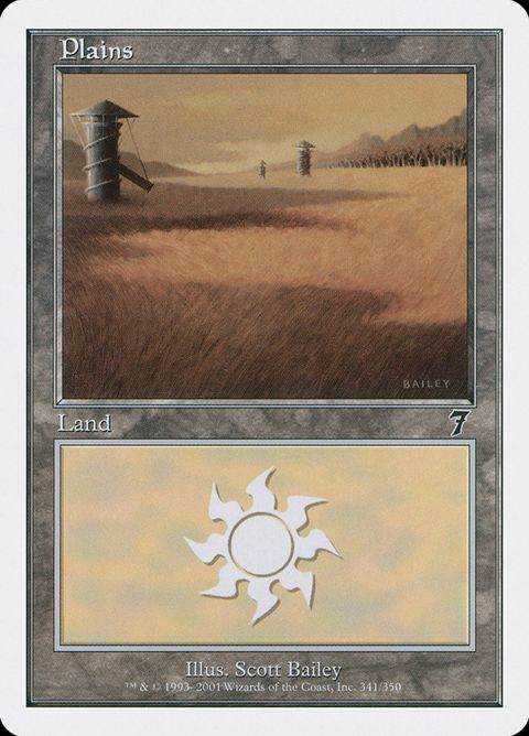 341-plains.jpg