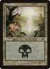 341-swamp.jpg