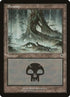 341-swamp.jpg