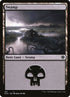 341-swamp.jpg
