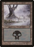341-swamp.jpg