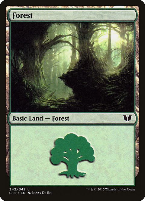 342-forest.jpg