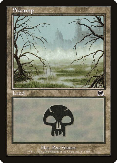 342-swamp.jpg