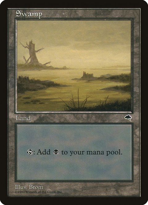342-swamp.jpg