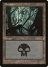 342-swamp.jpg
