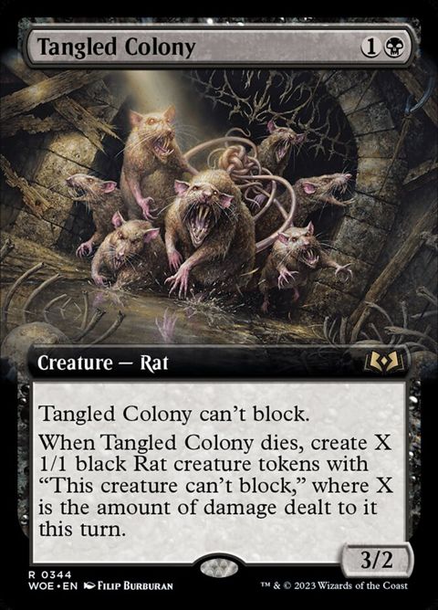 344-tangledcolony.jpg