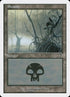 346-swamp.jpg