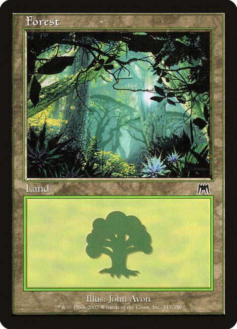 347-forest.jpg