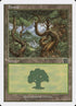 347-forest.jpg