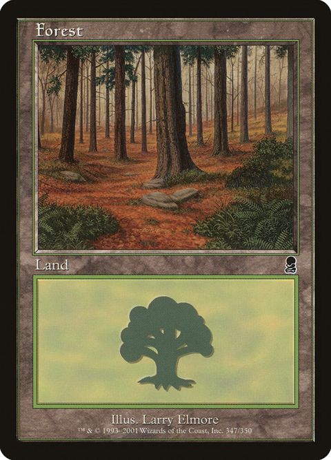 347-forest.jpg
