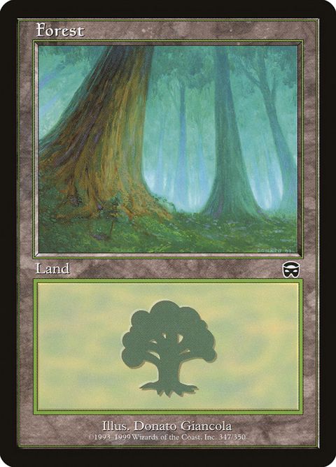347-forest.jpg